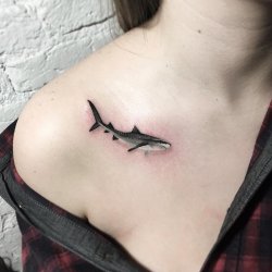 Татуировка Акула