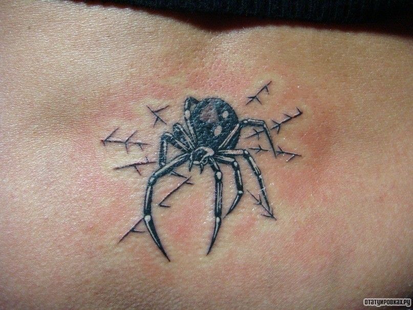 Зоновские тату паук