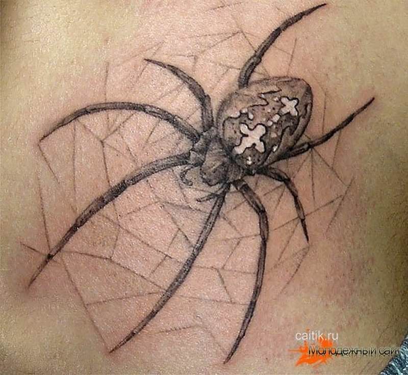 Тату паутины с пауком на спине