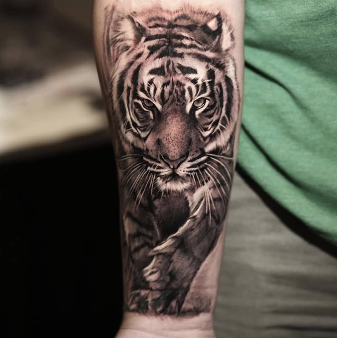Тату тигр на руке мужские