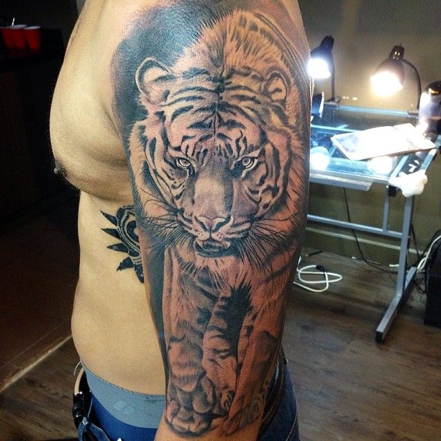 Тату тигра с тигрятами на плече мужские