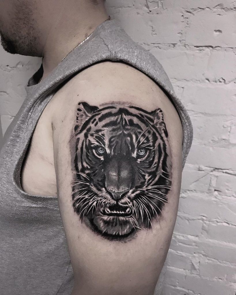 Тигр на плечо мужские. Тату тигр. Тату тигр на руке. Татуировки с тигром для мужчин. Тату тигр на руке для мужчин.